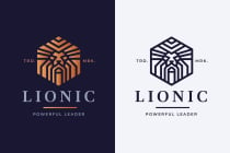 Lionic Lion Head Logo Screenshot 5