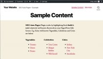 SEO Auto Pages - WordPress Plugin Screenshot 7