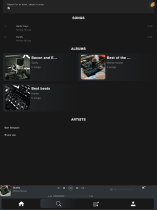 Play Tracks - PHP Web Music Player Screenshot 11