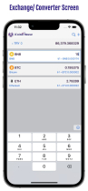 iOS Coin Converter Template App Screenshot 2