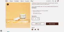 Gondric - Multipurpose Shopify Theme OS 2 Screenshot 8