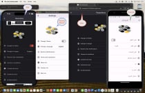 Flip Card Memory - Flutter Application Screenshot 1
