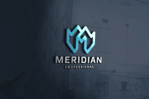 Professional Meridian Letter M Logo Screenshot 1