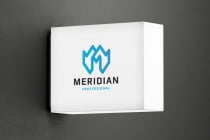 Professional Meridian Letter M Logo Screenshot 2