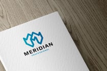 Professional Meridian Letter M Logo Screenshot 3